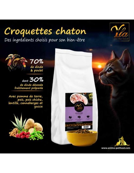 Croquettes haute teneur en protéines animales pour chatons à digestion sensible