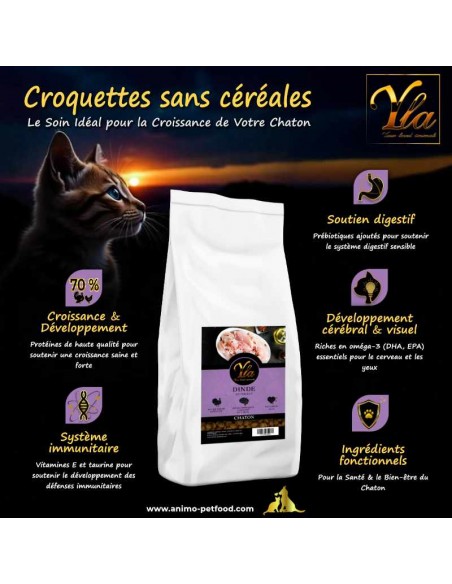 Bienfaits des croquettes sans céréales pour un chaton en pleine croissance