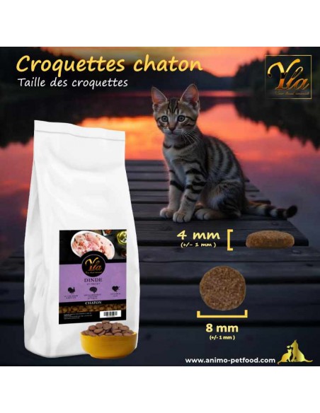 Croquettes de petite taille pour chaton, idéales pour une mastication facile et une digestion optimale