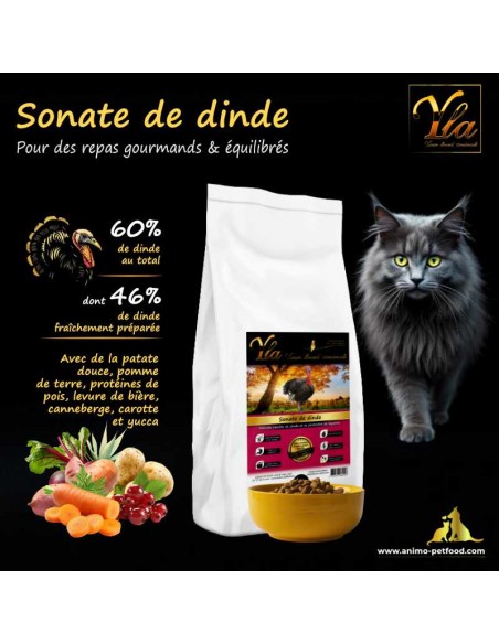 Croquettes pour chat adulte à la dinde, sans gluten ni céréales, riches en protéines