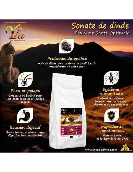 Alimentation sans céréales pour chats adultes, recette hypoallergénique avec protéines de dinde et ingrédients naturels