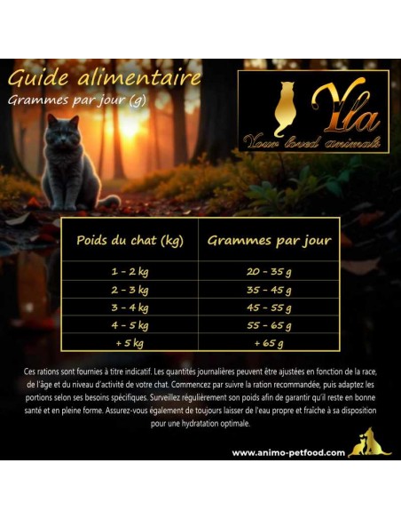 Guide alimentaire complet pour chat adulte