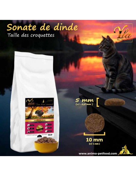 Croquettes pour chats adultes, idéales pour l’hygiène bucco-dentaire, taille 10 mm.