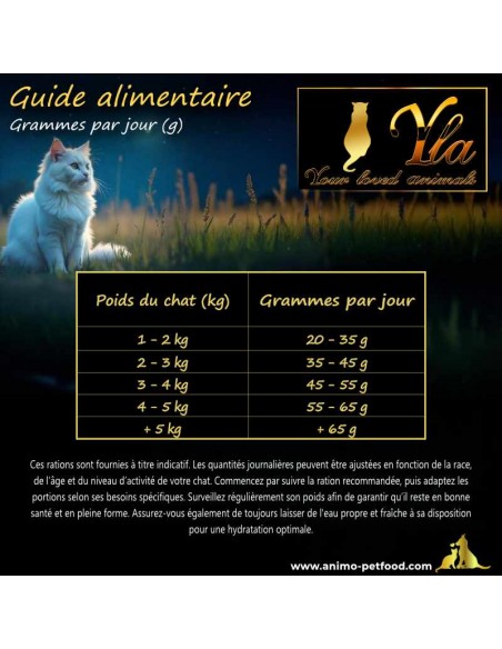 Ration quotidienne de croquettes hypoallergéniques pour chat adulte