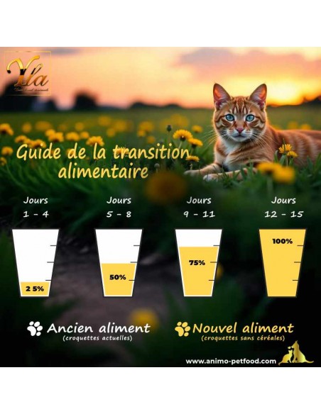 Transition alimentaire avec croquettes hypoallergéniques pour chat adulte