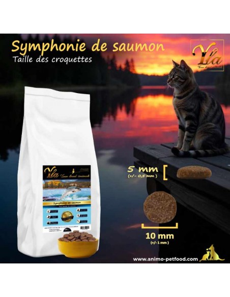 Croquettes hypoallergéniques au saumon pour chat adulte de petite taille