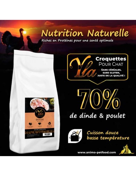 Nourriture pour chat adulte riche en protéines – Recette dinde et poulet pour vitalité et santé musculaire