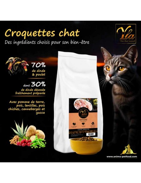 Croquettes haut de gamme pour chat – Dinde et poulet, offrant une nutrition complète et équilibrée.