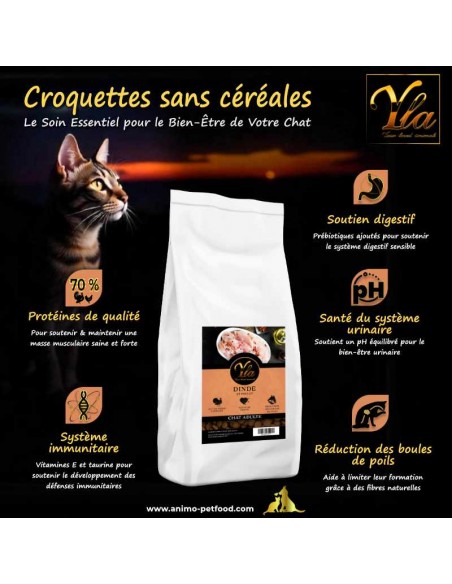 Croquettes sans céréales pour chat adulte – Nutrition équilibrée et digestion saine pour un bien-être optimal.