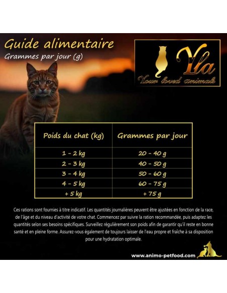 Croquettes pour chat adulte, offrant une ration équilibrée pour soutenir la santé et la vitalité.