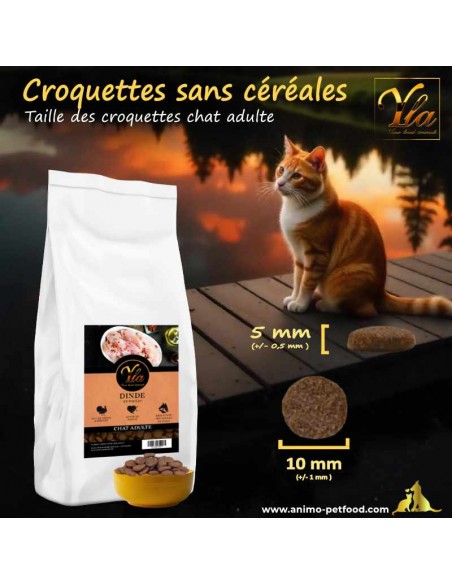 Croquettes sans céréales pour chat adulte au poulet et à la dinde, avec une taille adaptée pour une alimentation saine