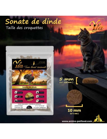 Croquettes adaptées aux mâchoires des chats adultes, avec une taille idéale pour un repas confortable et nutritif.