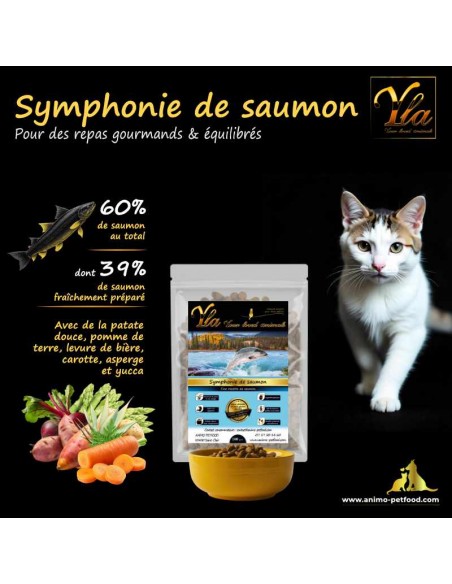 Croquettes hypoallergéniques au saumon pour chats adultes, adaptées aux besoins des chats sensibles