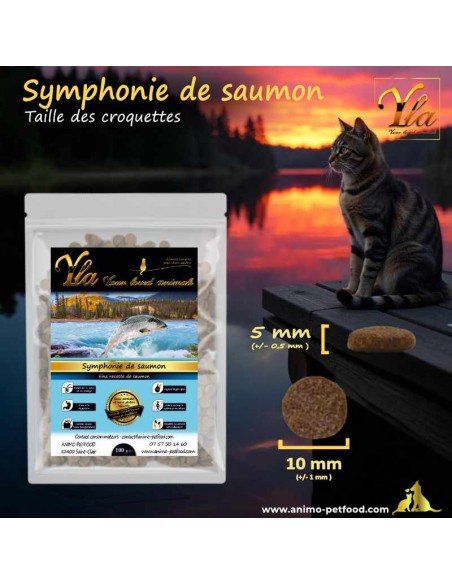 Croquettes adaptées pour le confort des chats grâce à une taille optimisée pour leur mâchoire.