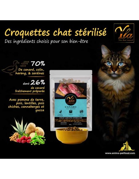 Alimentation équilibrée pour chats gourmands et stérilisés, idéale pour leur bien-être et leur plaisir