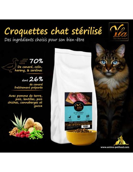 Recette savoureuse et équilibrée pour chats gourmands mais stérilisés, favorisant leur santé.