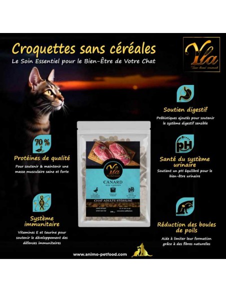 Alimentation pour chats riche en acides gras essentiels, idéale pour une peau saine et un pelage brillant