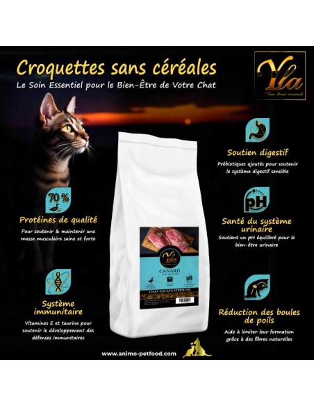 Croquettes pour chats d’intérieur, conçues pour réduire la prise de poids et favoriser une santé optimale.