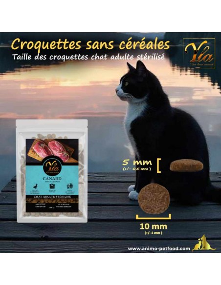 Taille idéale de croquettes pour chats stérilisés et seniors, favorisant une alimentation adaptée et confortable