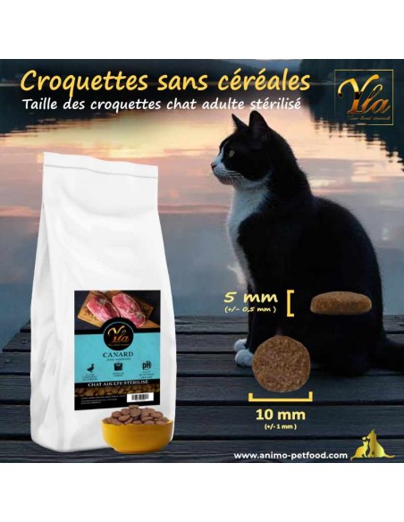 Croquettes avec forme et taille optimales, adaptées aux chats stérilisés et âgés, pour une alimentation confortable