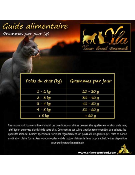 Guide alimentaire pour chats stérilisés, indiquant la ration quotidienne idéale pour leur santé et bien-être.