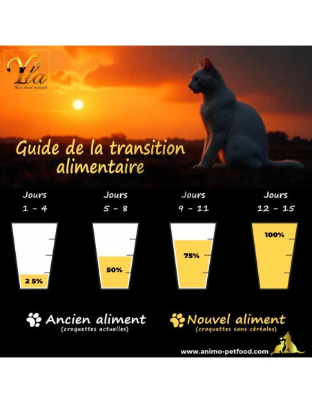 Conseils pour changer l’alimentation de son chat stérilisé en douceur et sans stress.