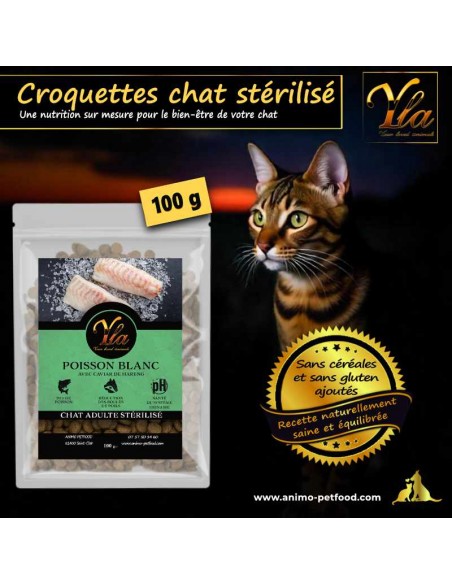 Croquettes sans céréales riches en poisson blanc, adaptées aux besoins des chats stérilisés pour une alimentation saine.