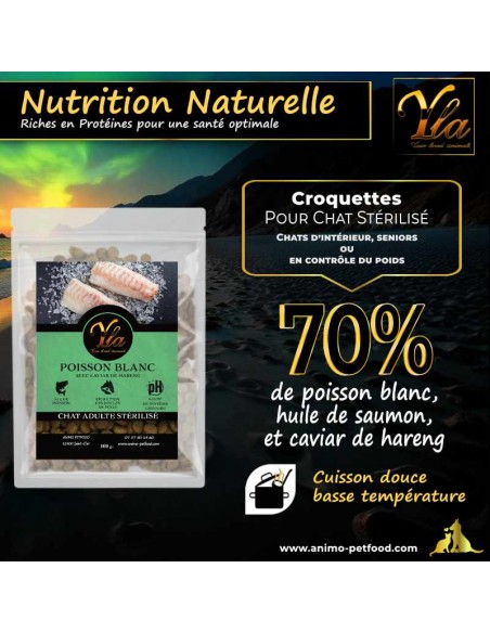 Croquettes adaptées à la santé urinaire des chats stérilisés, conçues pour leur bien-être et leur équilibre nutritionnel