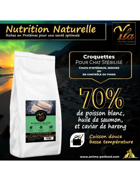 Croquettes pour chats adultes stérilisés, enrichies en oméga-3 et L-carnitine pour le contrôle du poids et le bien-être