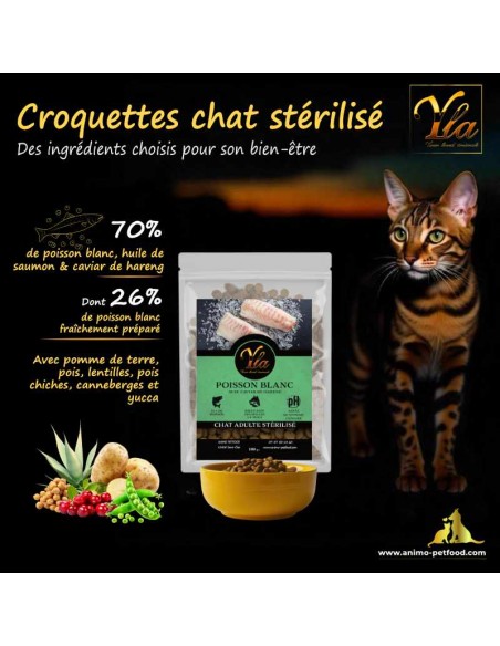 Nourriture premium pour chats avec vitamines et minéraux essentiels, idéale pour une santé optimale.