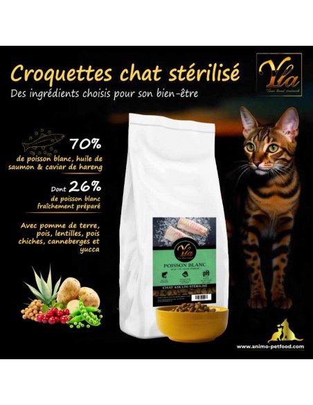 Croquettes sans céréales pour chats, avec des ingrédients naturels pour une alimentation saine et équilibrée