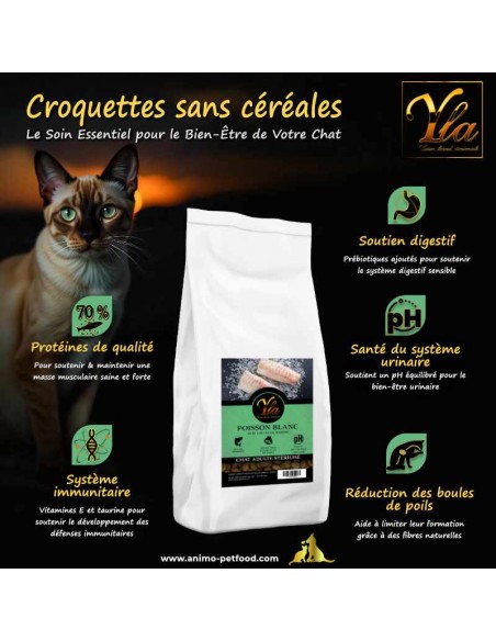 Croquettes premium pour chats seniors, enrichies en oméga-3 pour soutenir la santé articulaire et la mobilité