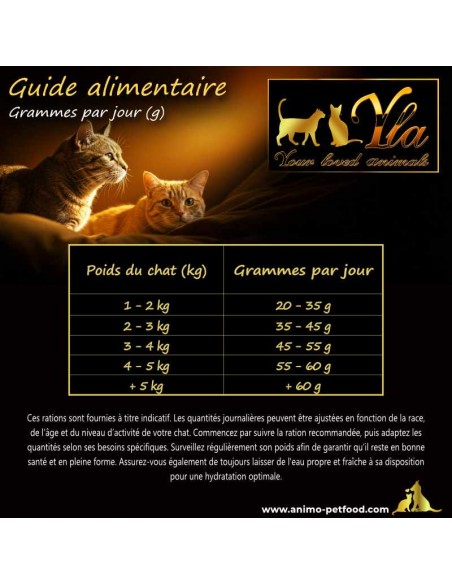 Rations journalières de croquettes adaptées aux chats stérilisés, un guide pratique pour une nutrition optimale.