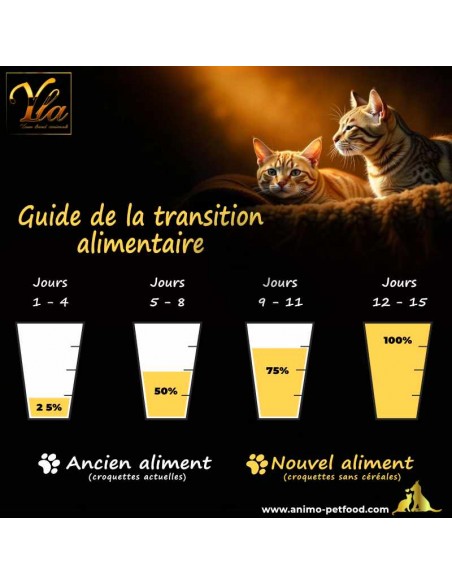 Conseils pour changer l’alimentation de votre chat en toute sécurité, sans perturber sa digestion