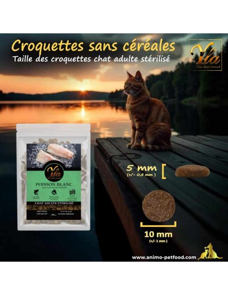 Taille idéale de croquettes pour chats adultes stérilisés, conçues pour leur confort et leur nutrition