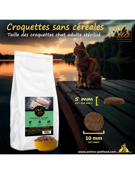 Croquettes adaptées à la mâchoire des chats adultes, avec une forme et une taille optimales pour leur confort alimentaire