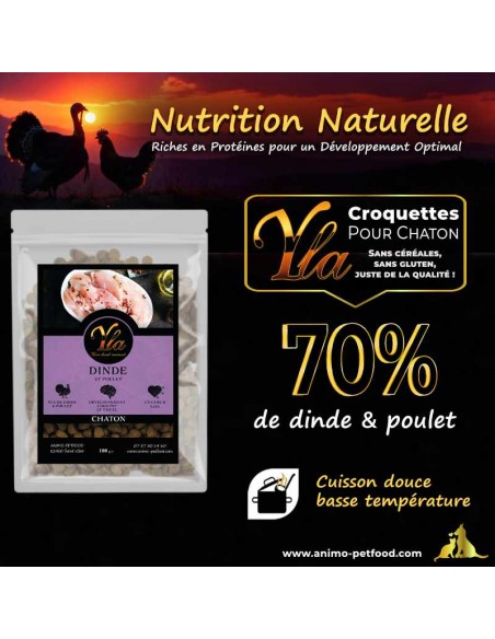 Croquettes sans céréales pour chaton, dinde et poulet, nutrition équilibrée et digestion facile.