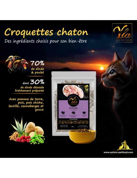 Ingrédients frais de dinde et poulet, riches en protéines pour croquettes chaton sans céréales.