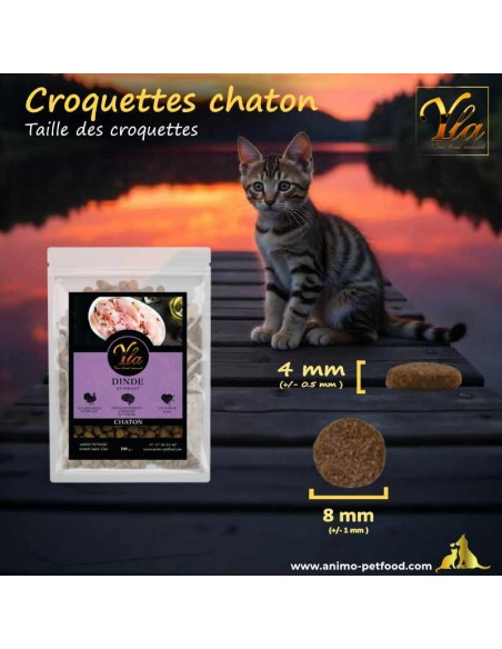 Croquettes de taille adaptée pour chaton, favorisant une mastication optimale et une digestion facilitée.