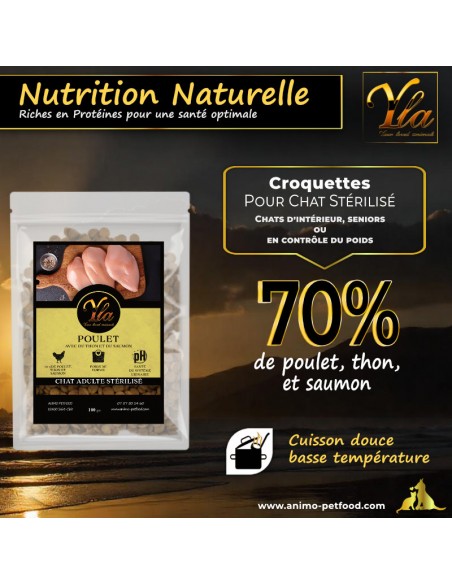 Croquettes sans céréales pour chat stérilisé, saveur poulet, thon et saumon, avec 70% de protéines animales