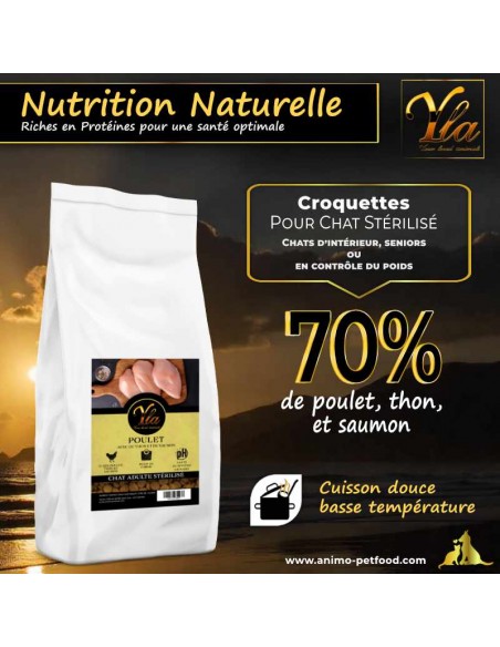 Croquettes pour chat stérilisé offrant une nutrition optimale pour la vitalité et la digestion