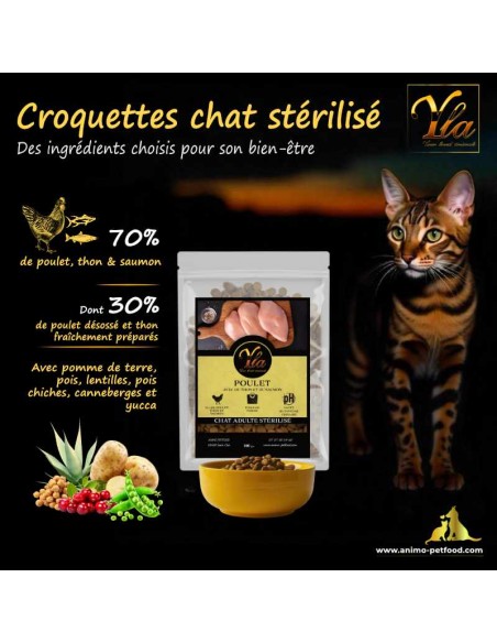 Croquettes pour chat à digestion sensible, sans céréales et enrichies en fibres pour une meilleure tolérance digestive