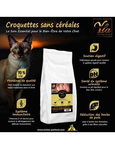 Avantages des croquettes sans céréales pour chat stérilisé : meilleure digestion, contrôle du poids et santé renforcée.