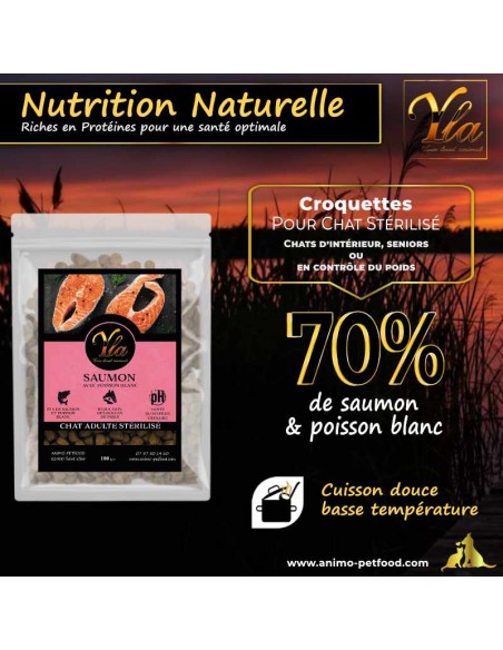 Croquettes sans céréales pour chat stérilisé, riches en poisson pour une digestion optimale et un bien-être félin.