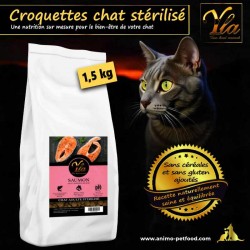 Croquettes sans céréales et faibles en glucides pour chat, riches en protéines animales et adaptées à leur métabolisme.