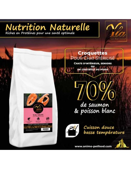 Croquettes sans céréales pour chat stérilisé, conçues pour maintenir un poids équilibré et une alimentation saine.