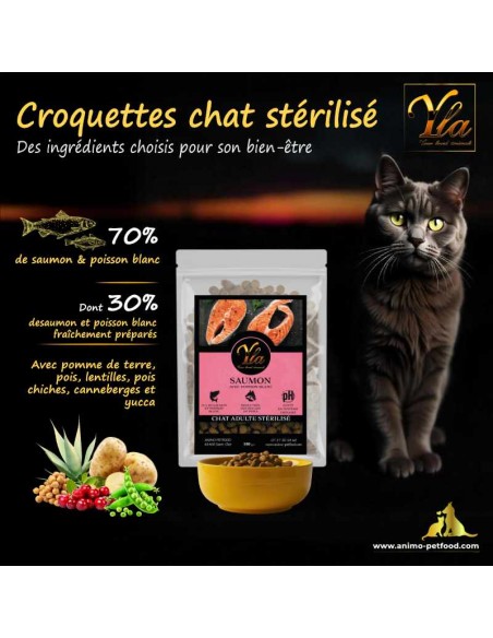 Croquettes sans céréales pour chat, conçues pour une digestion optimale et un confort intestinal amélioré.