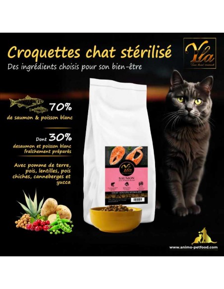 Croquettes sans céréales à cuisson douce pour chat stérilisé, riches en saumon et poisson blanc pour une nutrition optimale