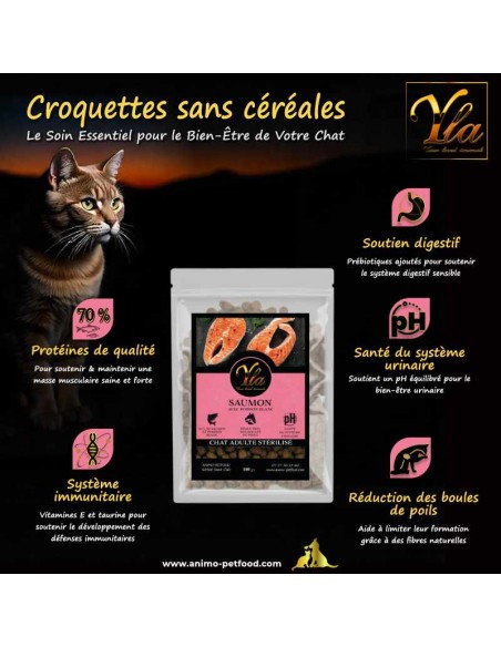 Croquettes sans céréales pour chat, formulées pour le renforcement des os et des articulations avec des nutriments essentiels.