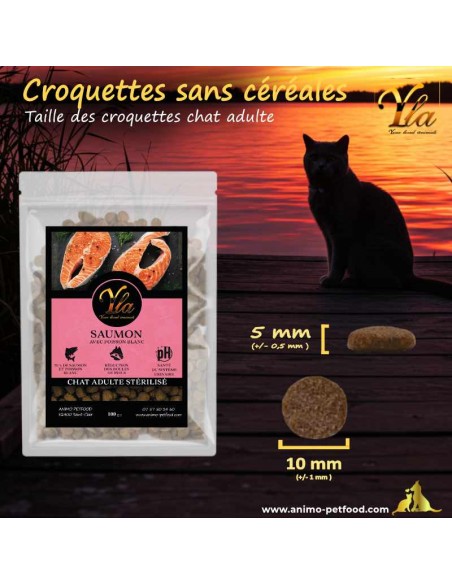 Taille et forme idéales des croquettes pour chat stérilisé, favorisant la mastication et la digestion.